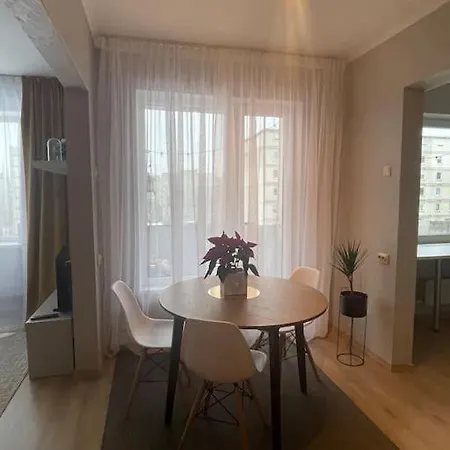 Apartment Cozy Close To Airport