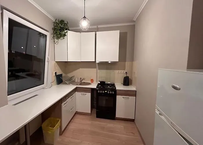 Cozy Close To Airport *